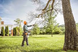  , IL Tree Services Pros